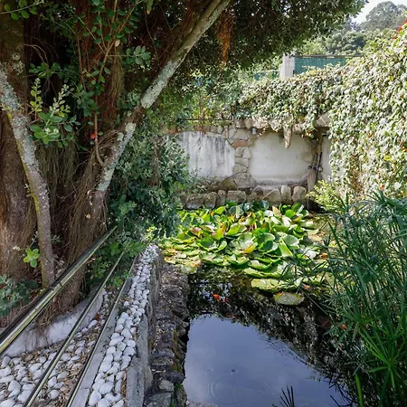 Casa Vieje De *